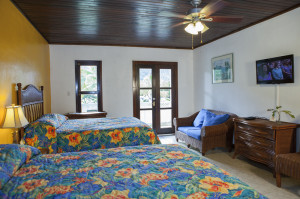 Deluxe Studio with kitchen