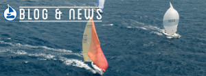 Blog & News