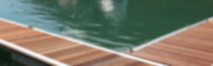 Walcon docks