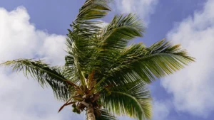 Live weather at Nanny Cay, BVI