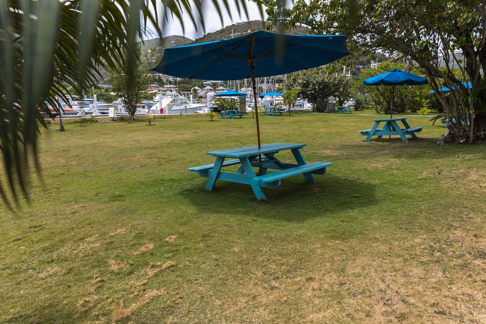 Nanny-cay-waterside seating